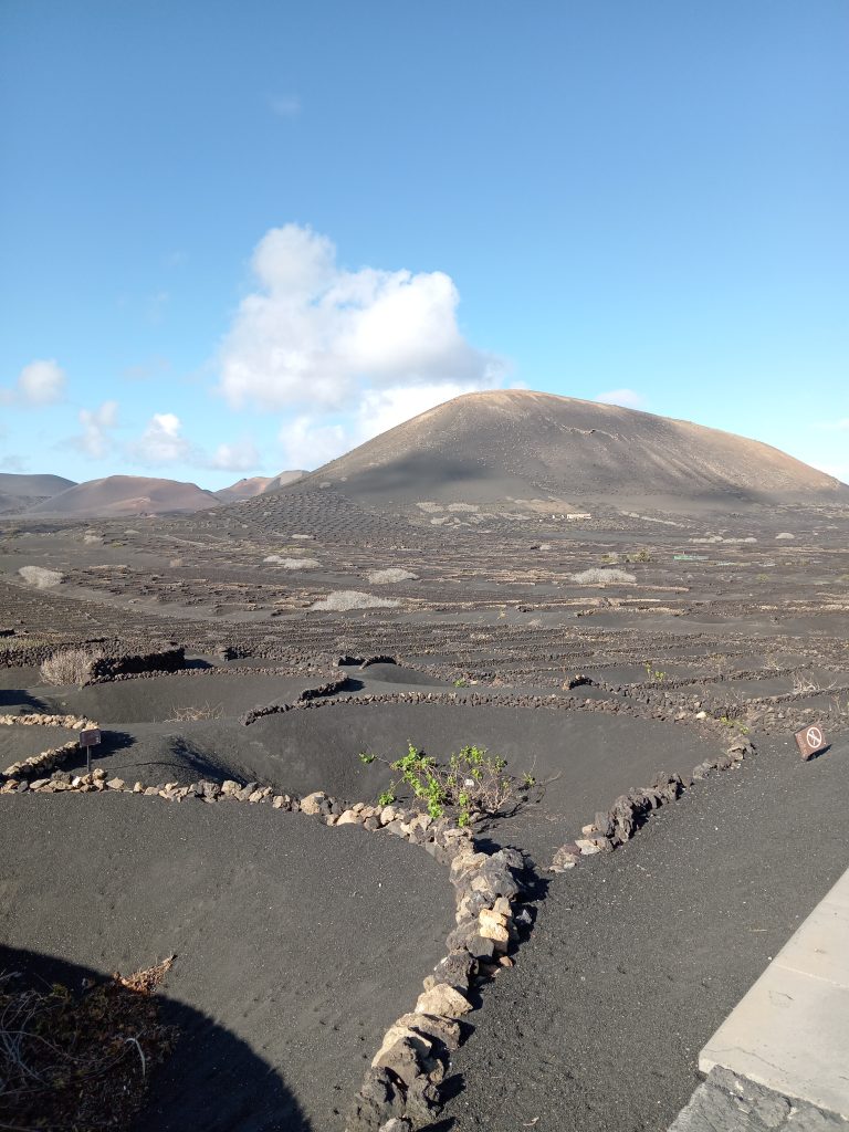 Lanzarote landscape